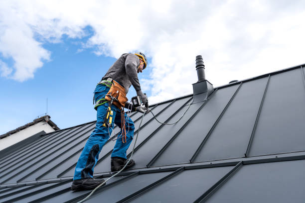 Best Roof Insulation Installation  in Ome, GA